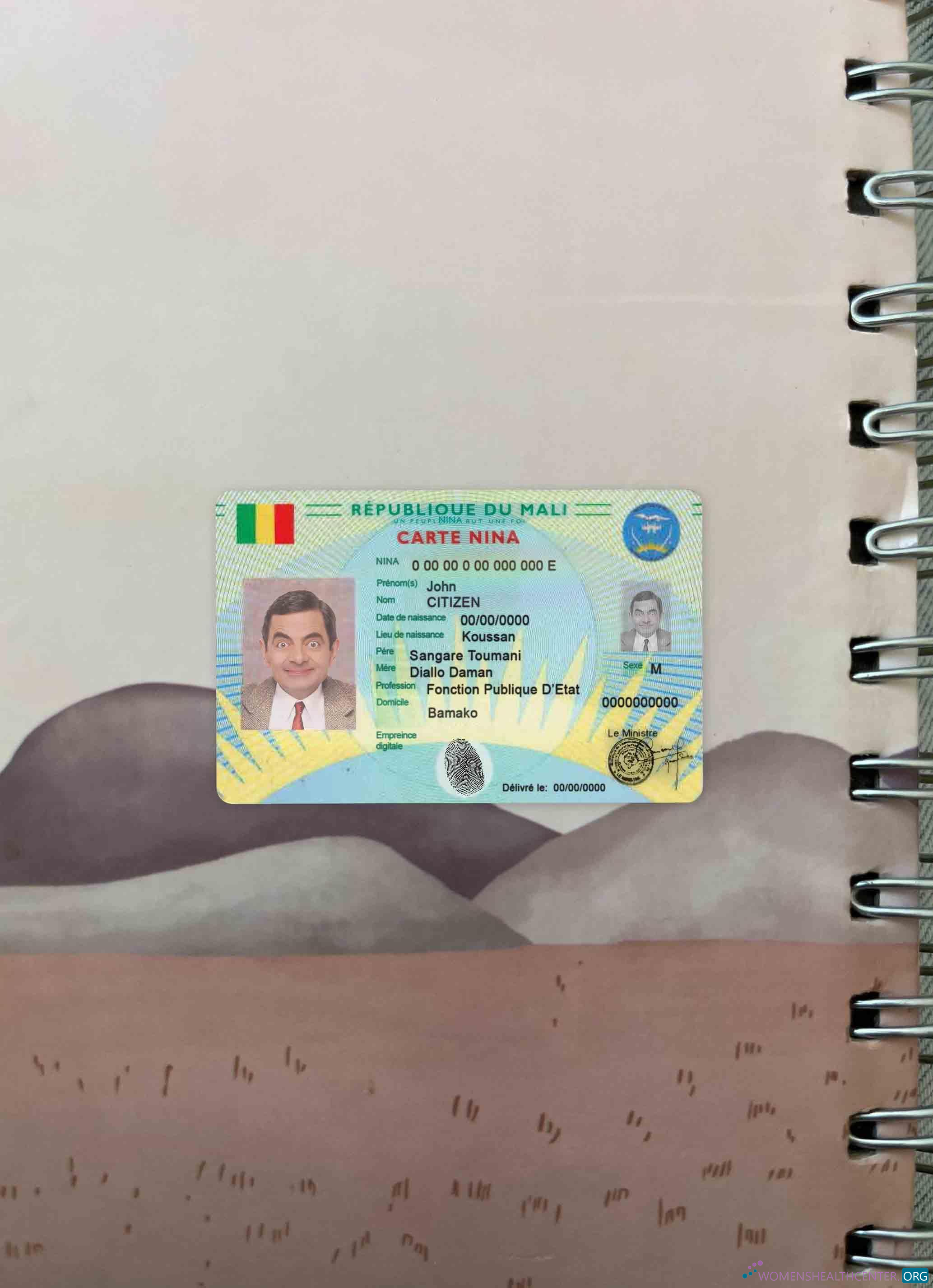 Download Mali Carte Nina photolook FRONT Photoshop template